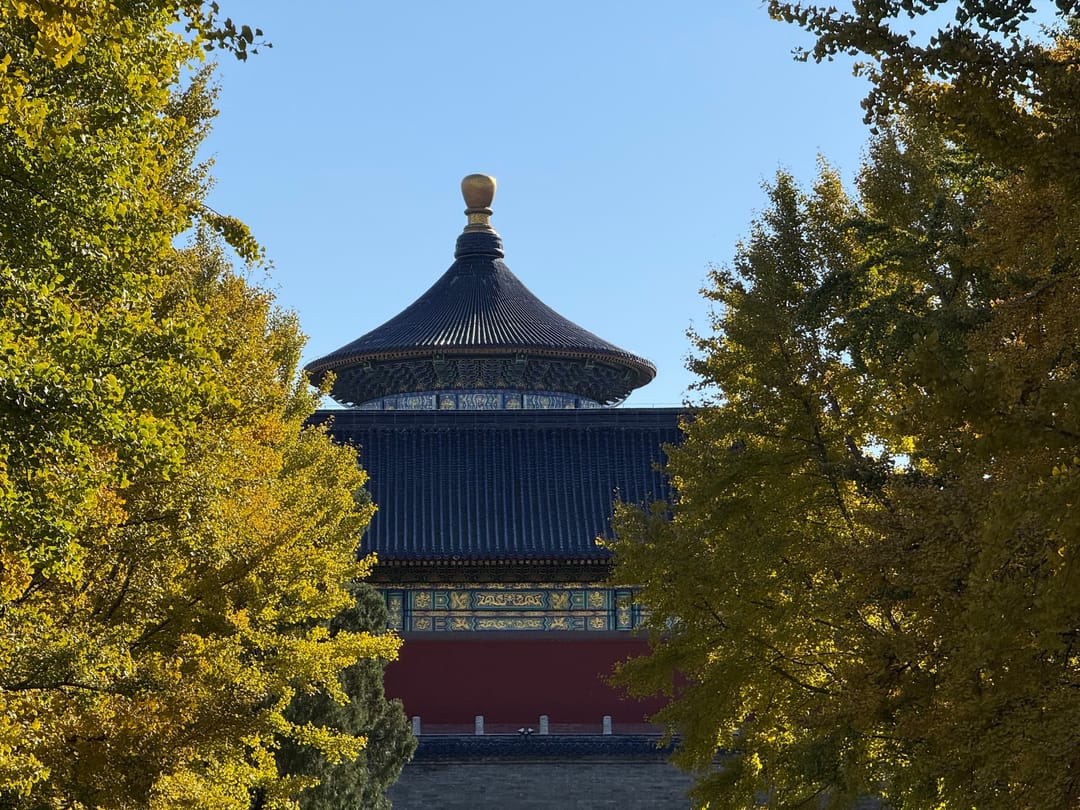 Ein runder Tempelbau mit dunkelblauem Dach zwischen gelb gefärbten Ginkgobäumen im Himmelstempel