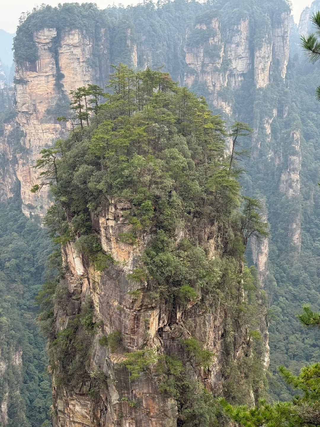 Un pilar de arenisca coronado de pinos se alza sobre un desfiladero boscoso y con niebla en Yuanjiajie, en Zhangjiajie