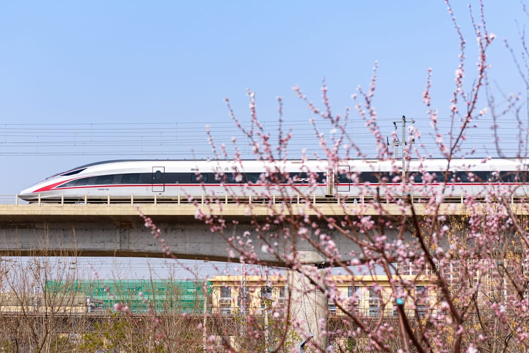 Un treno ad alta velocità Fuxing bianco e rosso su un viadotto, dietro i rami di un pesco in fiore