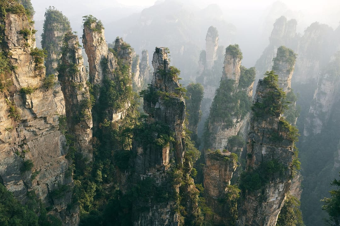 Pilares de arenisca coronados de pinos que se alzan sobre un barranco boscoso en Zhangjiajie, a contraluz entre la bruma