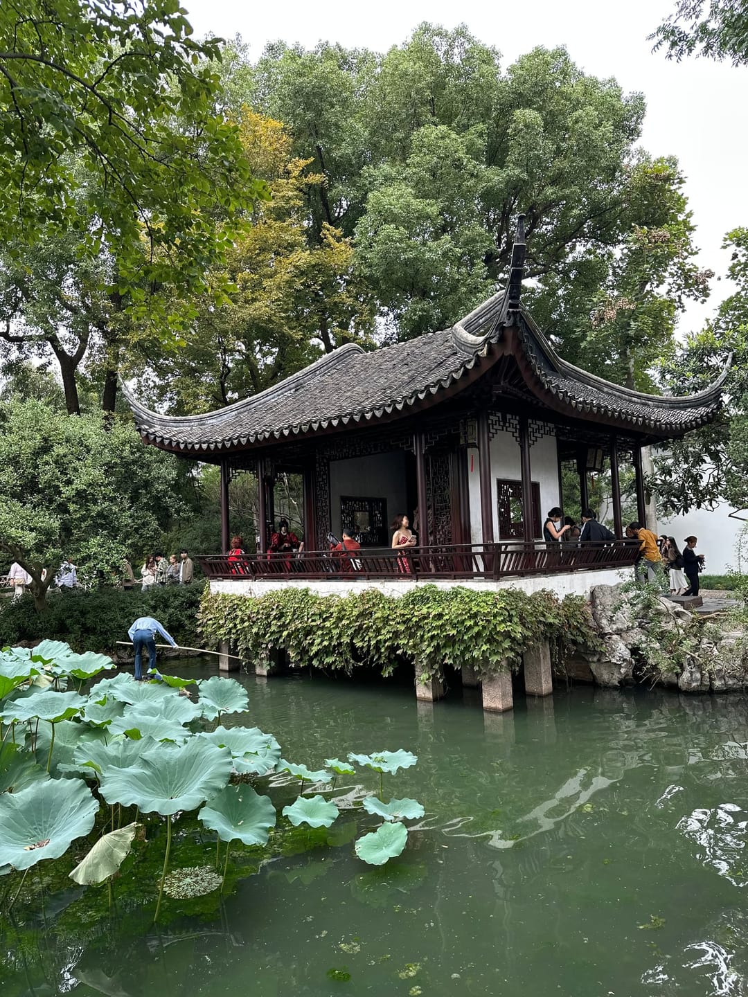 Ein Pavillon mit geschwungenem Dach am Ufer eines Teichs mit Lotusblättern im Garten des bescheidenen Beamten in Suzhou